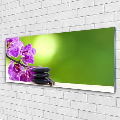 Tableau Sur Verre Tulup 125x50 Cm – Thème Floral Herbes, Impression Moderne Multicolore