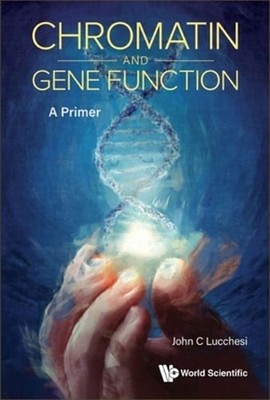 Chromatin and Gene Function: A Primer by Lucchesi John C: New
