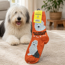 NWT Foozys Old English Sheepdog Crew Socks Orange Women One Size