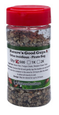 NaturesGoodGuys Orius Pirate Bugs Predatory B...