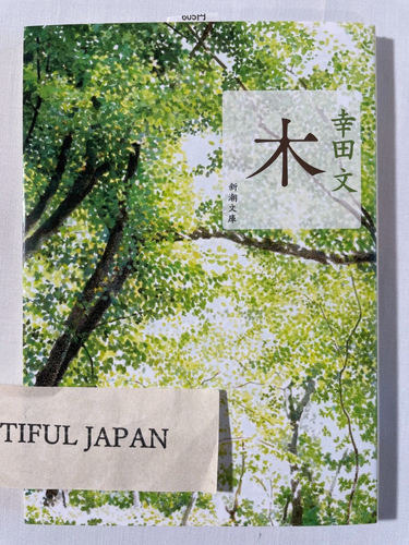 Aya Koda Ki Tree Paperback New Edition Japanese Book Japan Essay Perfect days - Picture 6 of 6