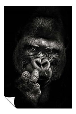 Schwarz Monochrom Gorilla Nahaufnahme Porträt Künstlerisches Poster Wandbild Wohndeko