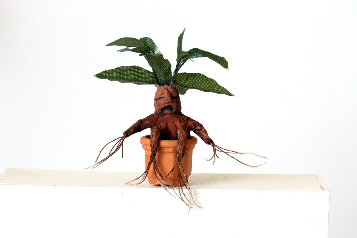 Miniature Mandragora root plant with pot, dollhouse figurine