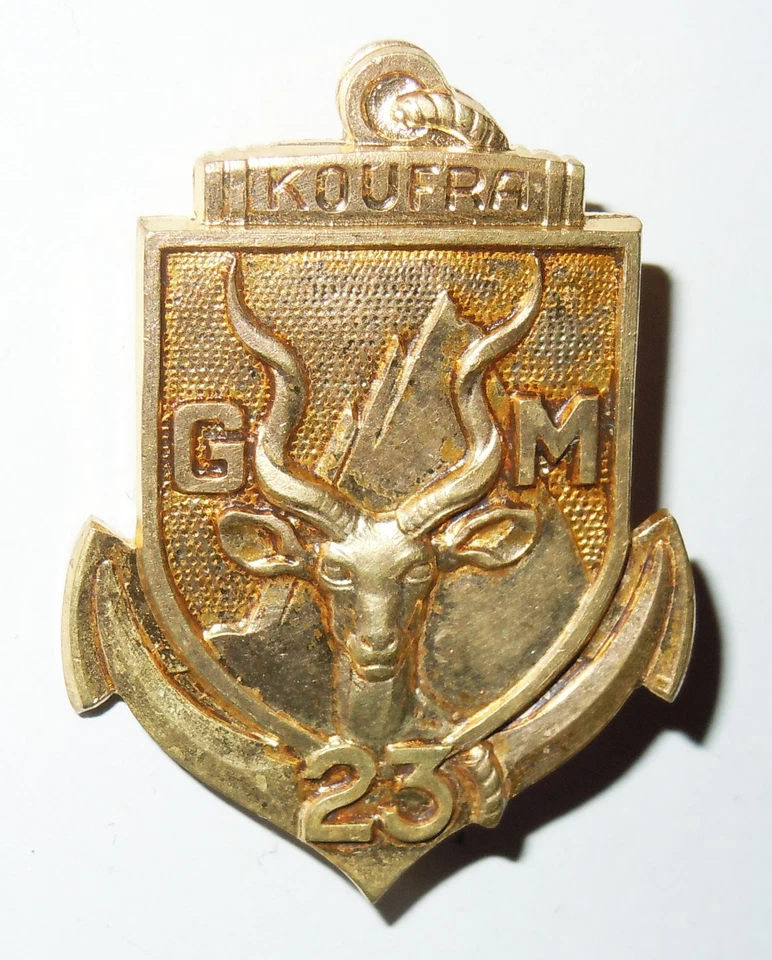 INSIGNE GROUPEMENT MOTORISÉ 23 - KOUFRA - Drago - Photo 1/2