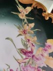Foto 17 di 24