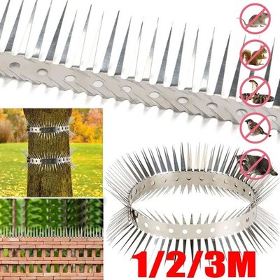 lot Stainless Steel Birds Spikes Repellent Arrow for Garden Wall Pigeon Fence
