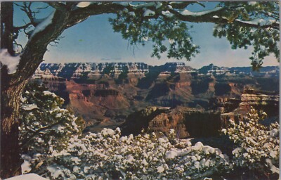 Fred Harvey ~ Snowy Grand Canyon National Park AZ Postcard 8637.7 MR ALE