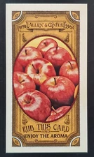 2024 Topps Allen & Ginter / 2023 Topps Allen & Ginter Inserts