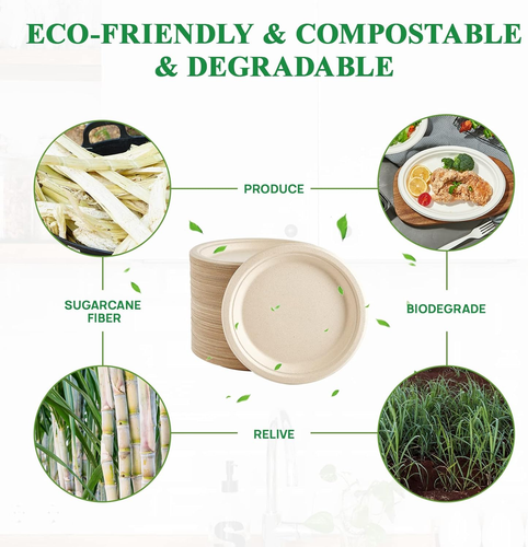 Vplus 150 Pack Paper Plates 9 Inch 100% Compostable Plates Heavy-Duty Disposable - Picture 5 of 14