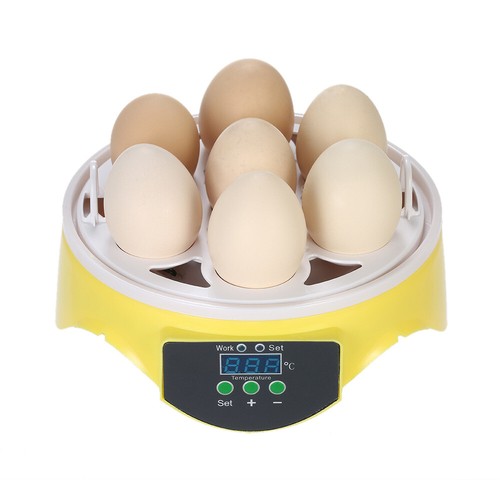 7 Eier Digital Incubator Hatcher Transparente Eier Brutmaschine DE N0J7 - Bild 6 von 12
