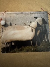 Primitive Sheep Doll Pattern Collectible RARE