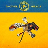Steve N Seagulls - Another Miracle - Vinyl Record - G3Z