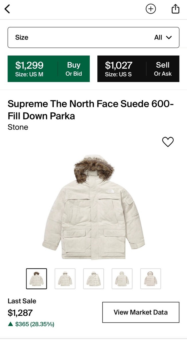 SUPREME THE NORTH FACE SUEDE 600-FILL DOWN PARKA JACKET STONE