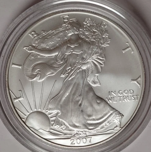2007-W 1oz AMERICAN BURNISHED SILVER EAGLE in OGP Z7F