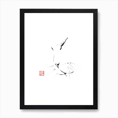 Weiße Katze Kunstdruck gerahmt Wandbild Poster Leinwanddruck Bild