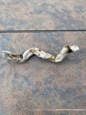 Natural Driftwood for Plants Terrarium Taxidermy Art Projects