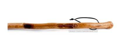 HOLZ HANDWERK Bastone da passeggio Edelweiss, rizoma, bastone da pastore, bastone da pellegrino 110 cm