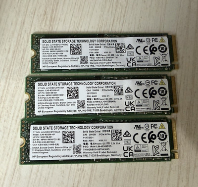 Solid State Storage Technology Corp 256GB M.2 NVMe PCIe Internal SSD CA5-8D512
