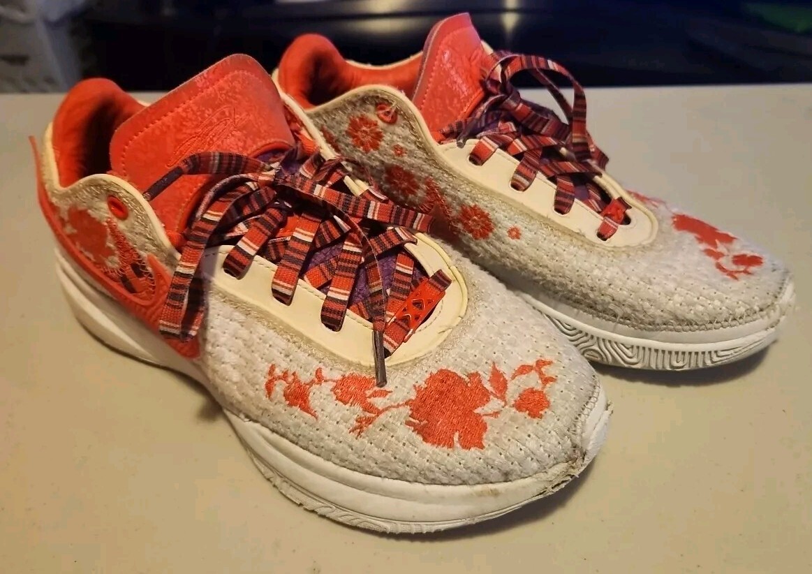Nike Mimi Plange x LeBron 20 Premium Ceremony - Mens Size 10