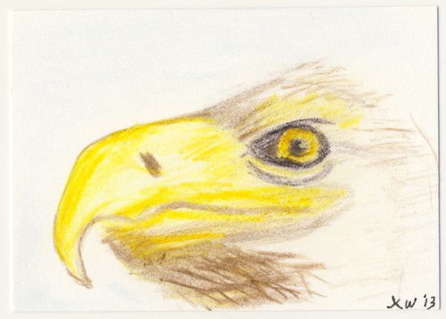 JKW Wild Wildlife American Bald EAGLE Bird Folk Art ACEO Original Painting