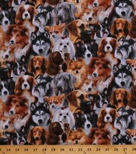 Cotton Dogs Dog Breeds Collies Huskies Animals Pets Fabric Print BTY D651.10