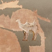 Corsano - - Vinyl Record Vl - F600Z