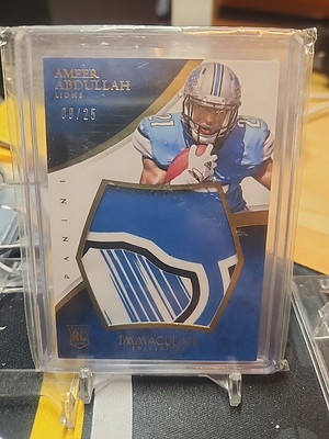 2015 IMMACULATE AMEER ABDULLAH JUMBO GAME WORN GLOVES 9/25  RC RARE