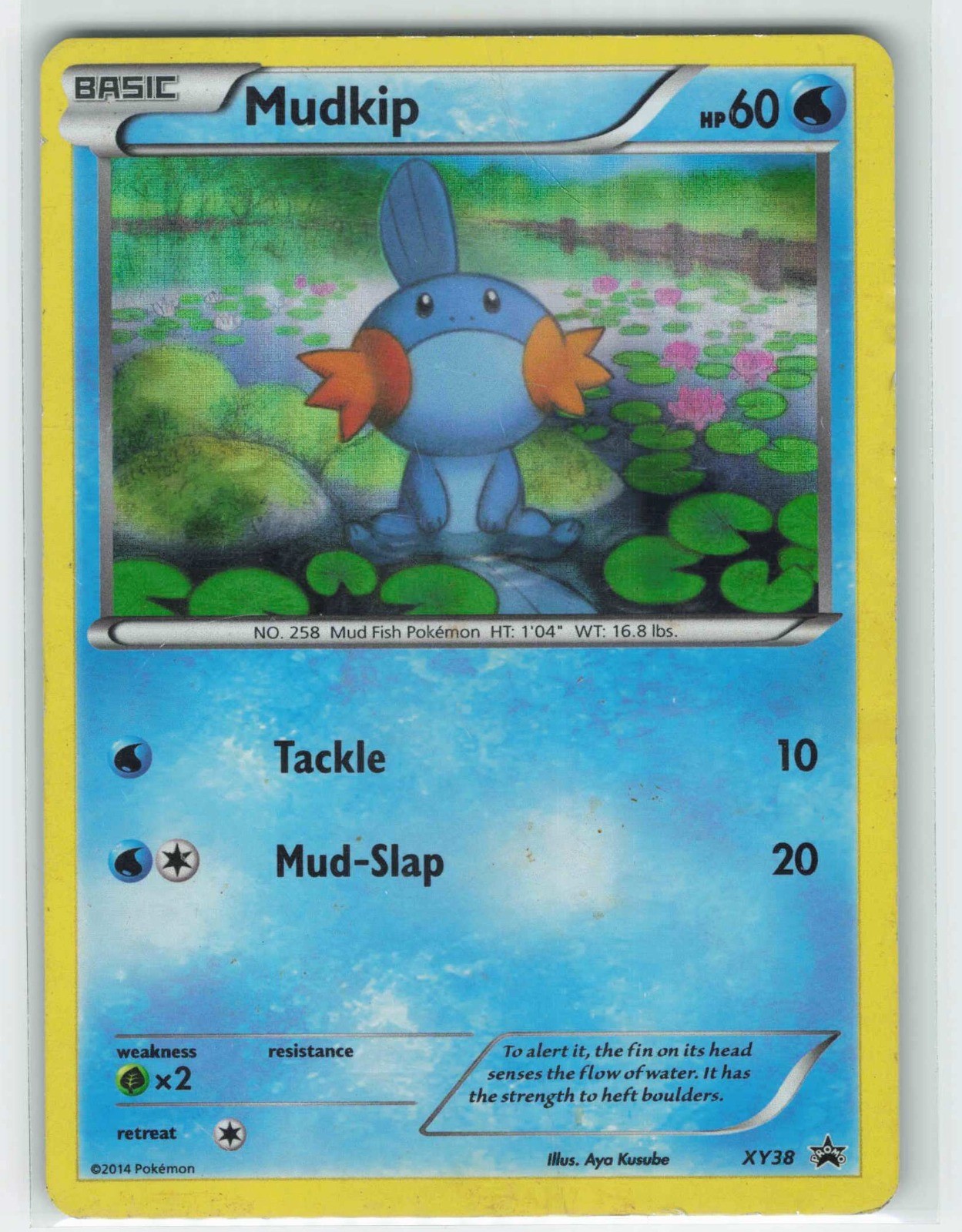 2014 Pokemon, XY Promos, #XY38 Mudkip, Holo Promo NM