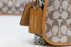 Coach Swinger 20 Crystal Signature Jacquard Shoulder Handbag - Burnished Amber