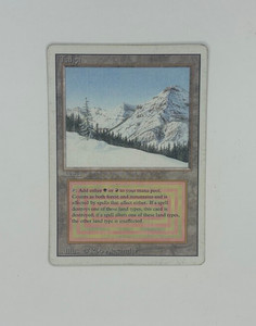 Magic The Gathering Taiga | eBay