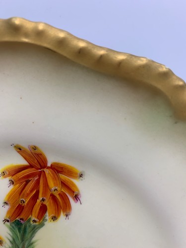 Fantastic W Hale Hand Painted Royal Worcester Botanical Cabinet Plate 1918 - Picture 5 of 17