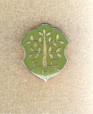 Pin Badge Abzeichen DEUTSCHLAND - A31 - FC HOMBURG -