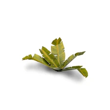 GamersGrass: Laser Plants - Banana Tree