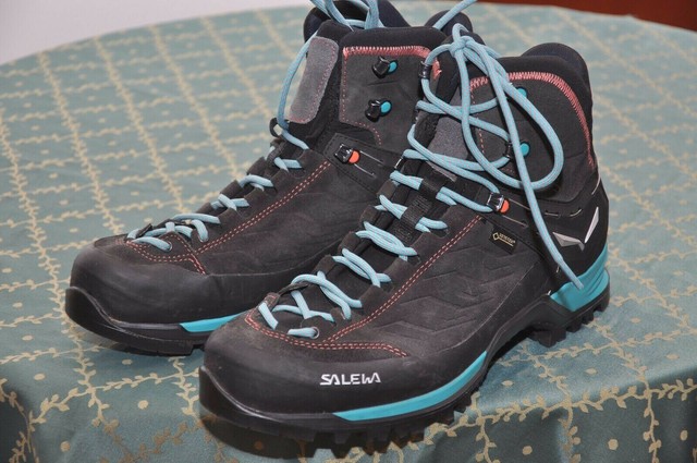 salewa ws mtn trainer mid gtx