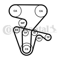 Continental Ctam CT877WP4PRO Wasserpumpe + Zahnriemensatz FüR Alfa Romeo
