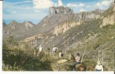 Big Bend National Track South Rim Trail Horseback Riders Postcard C22