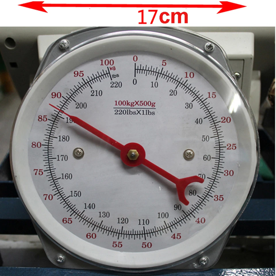 Fishing Hunting Kitchen Metal Hanging Scale 100kg / 220lb - Image 3 of 4