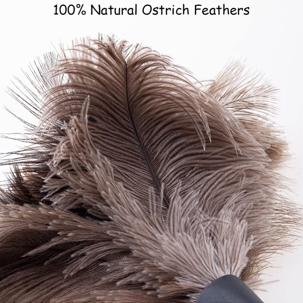 15 Inch Dust Brush Natural Ostrich Cleaning Supplies Ostrich Feather Duster eBay