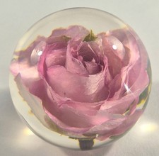 2.3" Real Pink Rose in Clear Lucite Resin Valentine June Birth Month Flower Gift