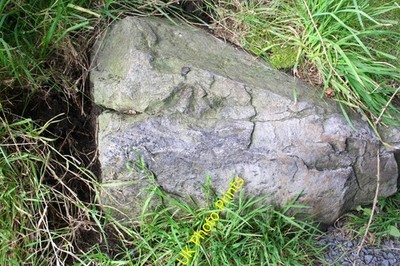 Photo 6x4 Benchmark on rock by gateway for Bushes House Low Row/SD9897 O c2016
