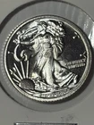 1/10 BU UNC .999 Silver Eagle Round Flawless