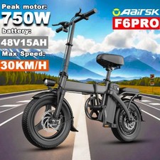 Electric Bike 750W Peak Motor 48V15AH Removable Lithium Battery Aldult Foldable