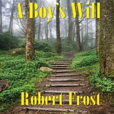 A Boy's Will Robert Frost Paperback Wilder Publications