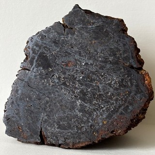METEORITE COLLECTED BY NININGER'S OWN HANDS 1959! LARGE END CUT! AUSTRALIA