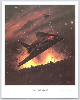 Lockheed F-117 NIghthawk US Air Force Fighter Bomber 1991 Fellows Ferguson Print