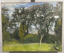 Large And Old Oil On Canvas Signed: View Of A Spring Landscape 50x61 Cm