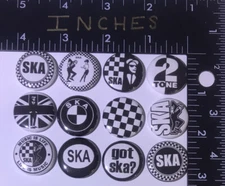 Ska 12 Pins One Inch Pin Lot Rock Streetlight  Specials Real Big Fish Rude 2tone