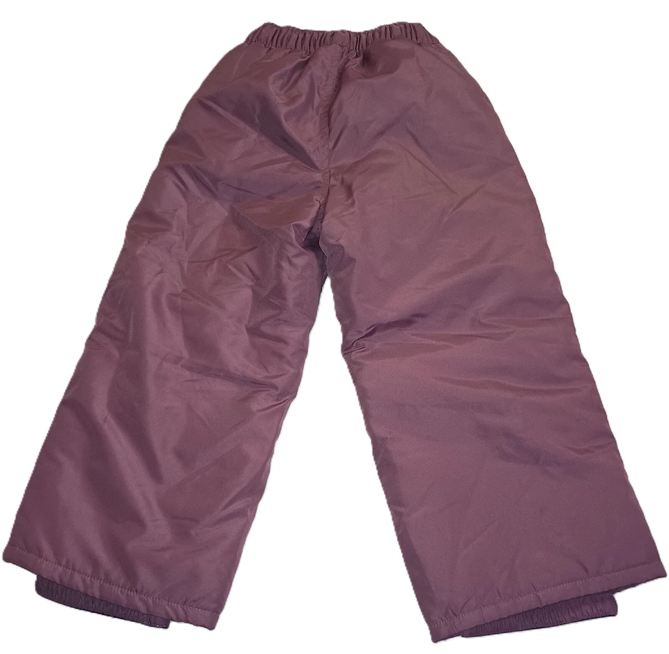 The Children's Place 女孩抓绒衬里雪地滑雪裤紫色弹性尺寸 4 G002 — 第 4/4 张图片