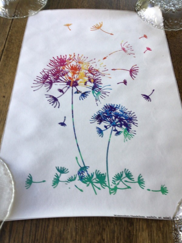Dandelions 12x18” vinyl canvas floral Poster  G