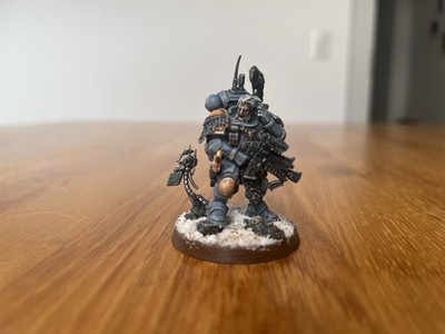 Space Wolves - Captain in Phobos Armour - gut bemalt